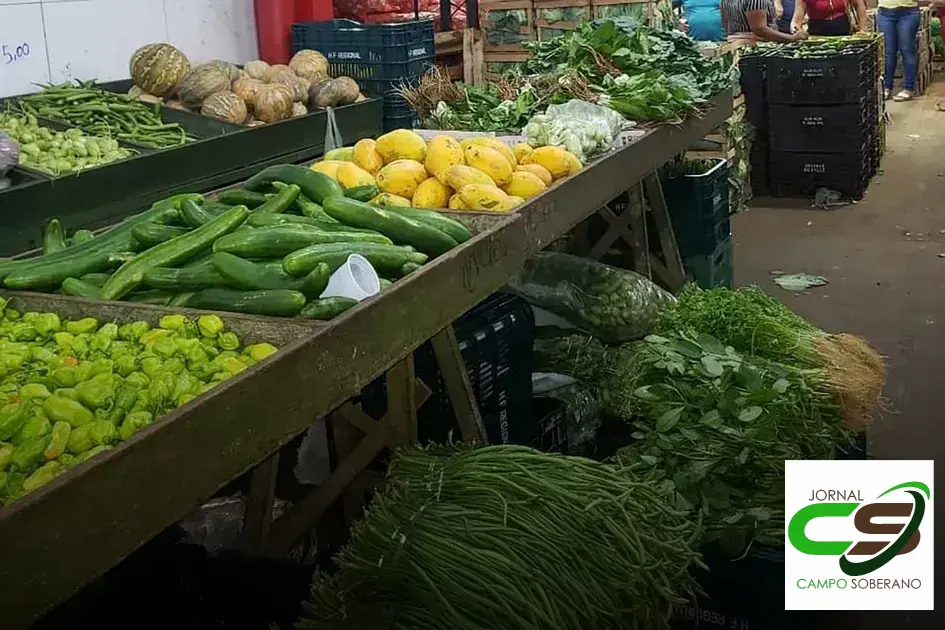 preço tomate ceasa milho