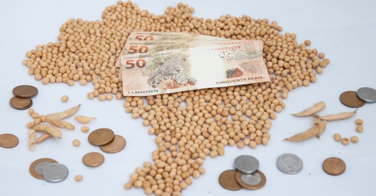 Preços da soja no Brasil em 2024