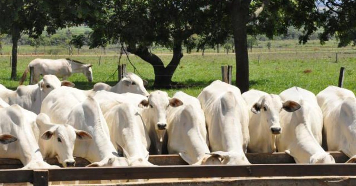 Preços em queda por baixa procura e escalas alongadas.