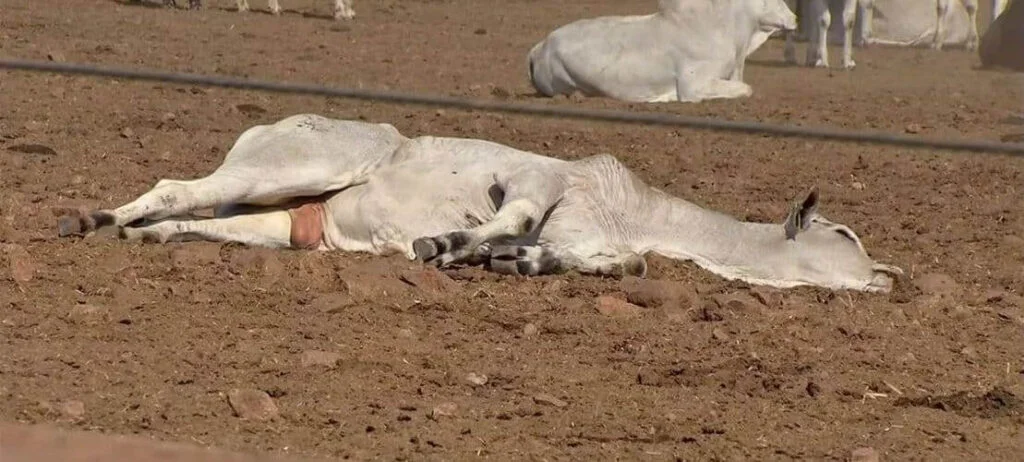 Prevenção de doenças: como se cuidar? 2 Facebook