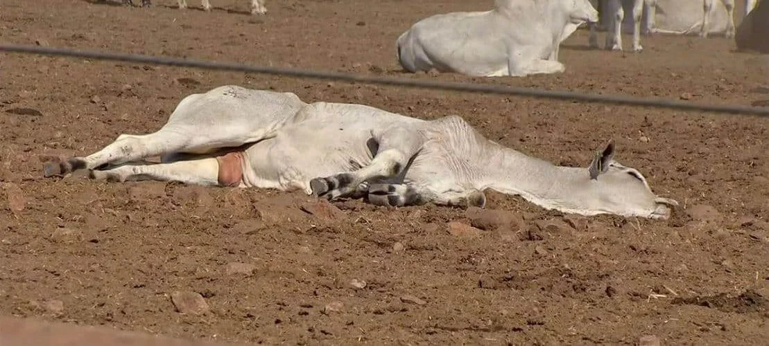 Prevenção de doenças: como se cuidar? 1 Facebook