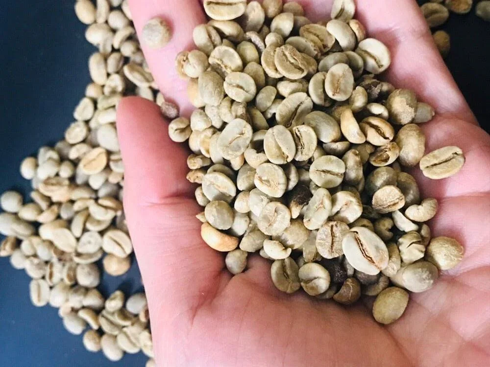 Principais problemas e causas 65 quais são os principais e suas causas