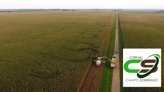 Processo de Ensilagem Eficiente Processo de Ensilagem Eficiente