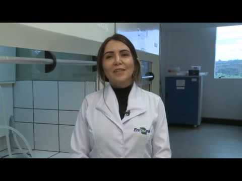 processo de producao de biodiesel