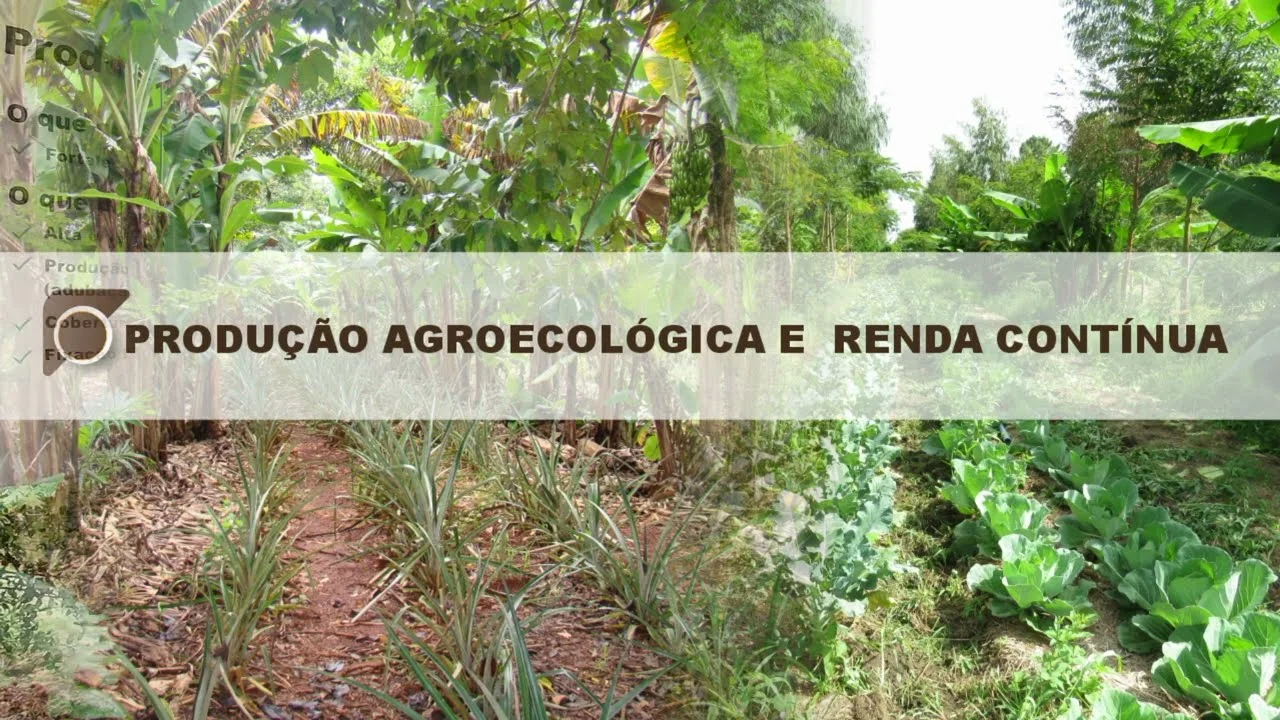 Produção Agroecológica e Renda Contínua 2 producao agroecologica e renda continua