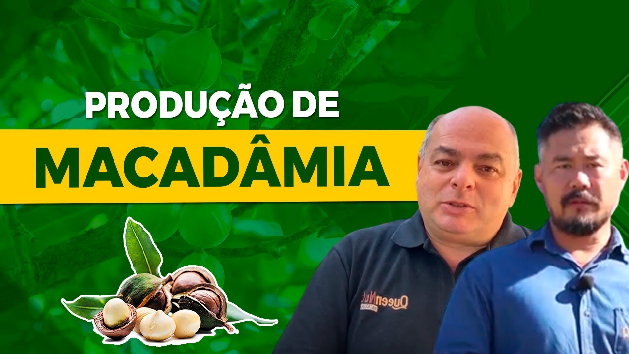 Produção de Macadâmia com Pedro Piza
