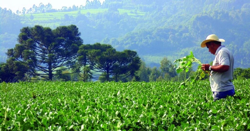 producao sustentavel descarbonizacao em destaque 1