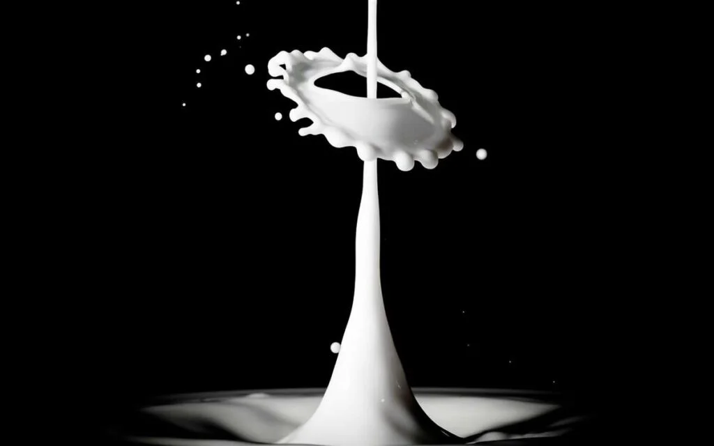 Produtor de lácteos pode ter maior lucratividade na estiagem 7 produtor lácteos lucratividade estiagem mercado