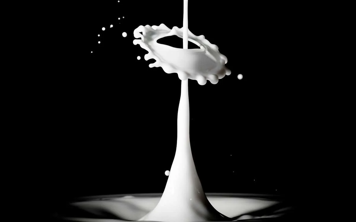 Produtor de lácteos pode ter maior lucratividade na estiagem 20 produtor lácteos lucratividade estiagem mercado