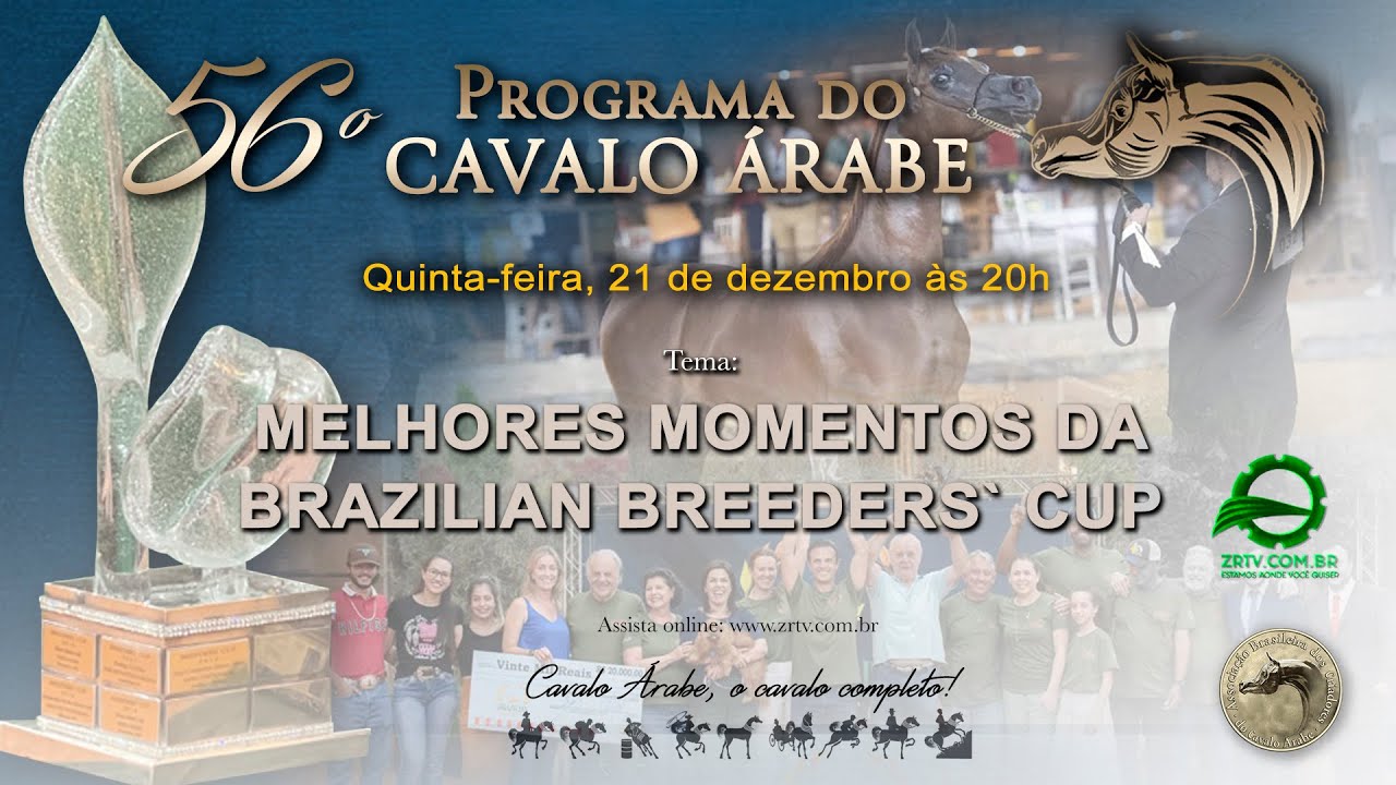programa cavalo arabe 56 melhores momentos breeders cup