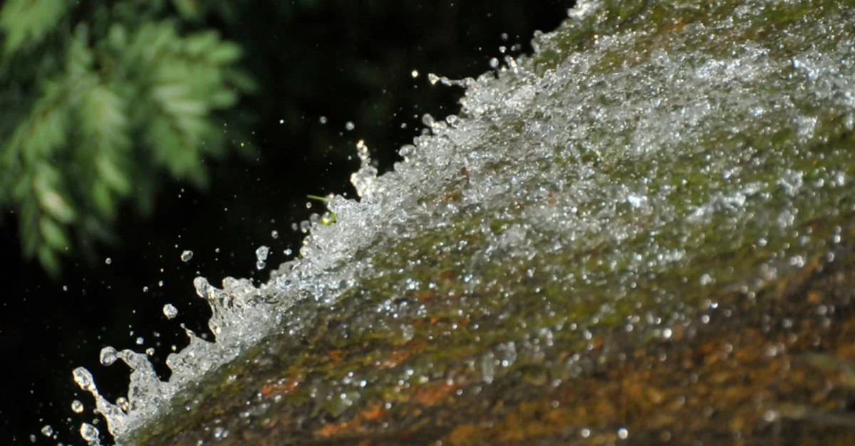 Programa de R$ 15 mi para recuperar solo após enchentes no RS 4 Governo do RS lança programa de R$ 15 milhões para recuperar solo destruído por enchentes
