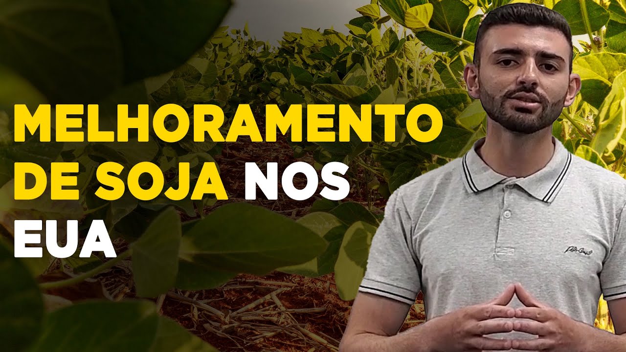 Programas de melhoramento de soja nos EUA