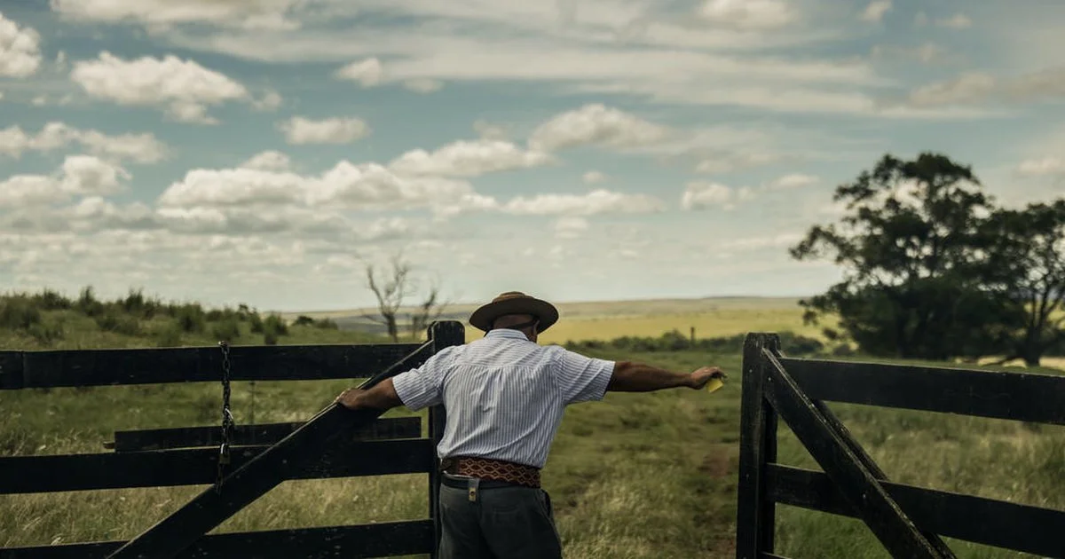 Promovendo a pecuária sustentável no Pampa 8 Projeto estimula a pecuária sustentável no bioma Pampa