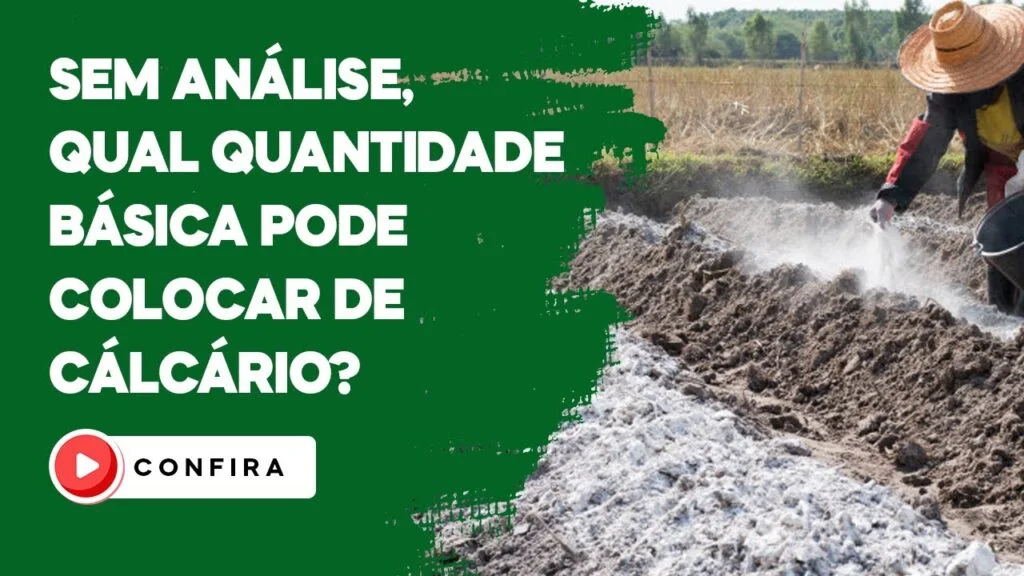 quantidade basica de calcario sem analise