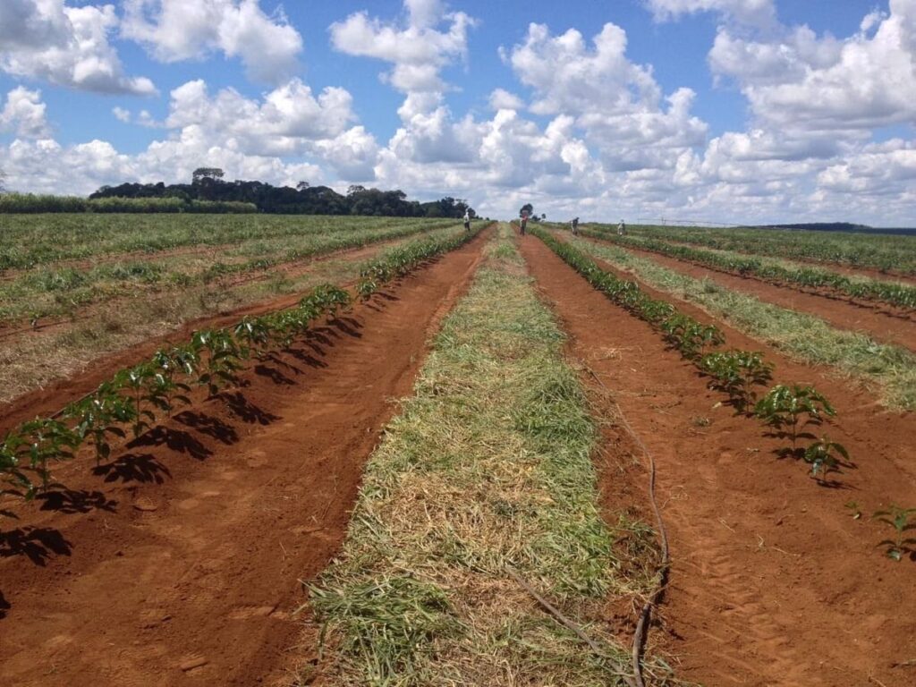 o que é e como realizar essa prática?