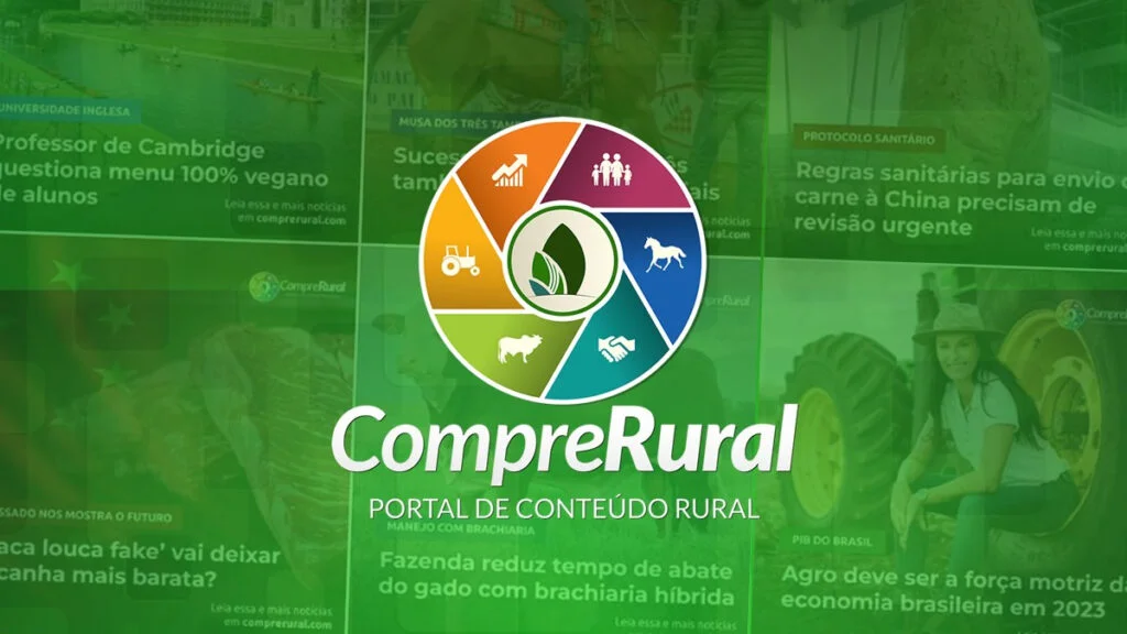 Abate de bovinos dispara no Brasil e bate recorde histórico — CompreRural