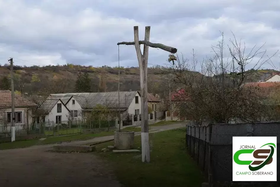 Resistência a Pragas e Doenças Resistência a Pragas e Doenças