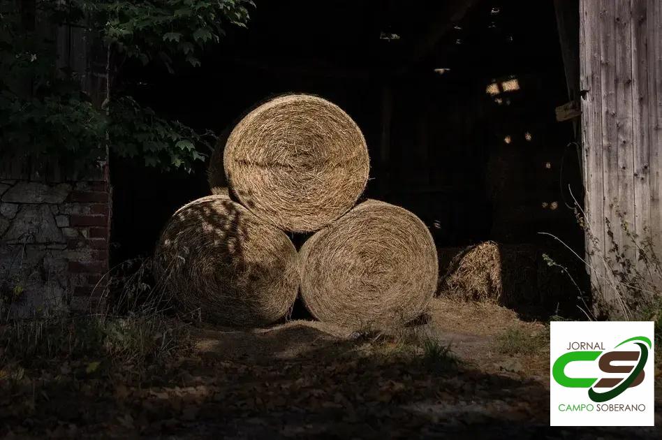 Resistência a Variações Climáticas