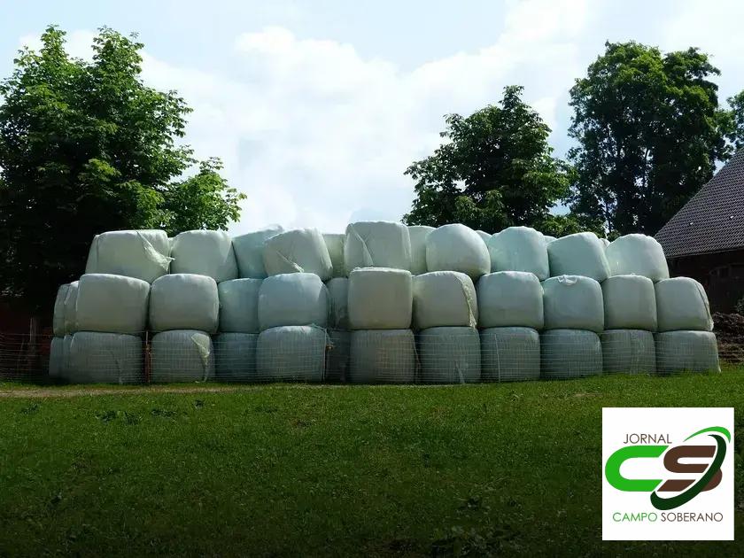 Resultados de Produção Animal em Pastagens de Solos Férteis