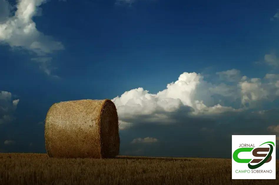 Resultados na Produção de Leite e Carne Resultados na Produção de Leite e Carne