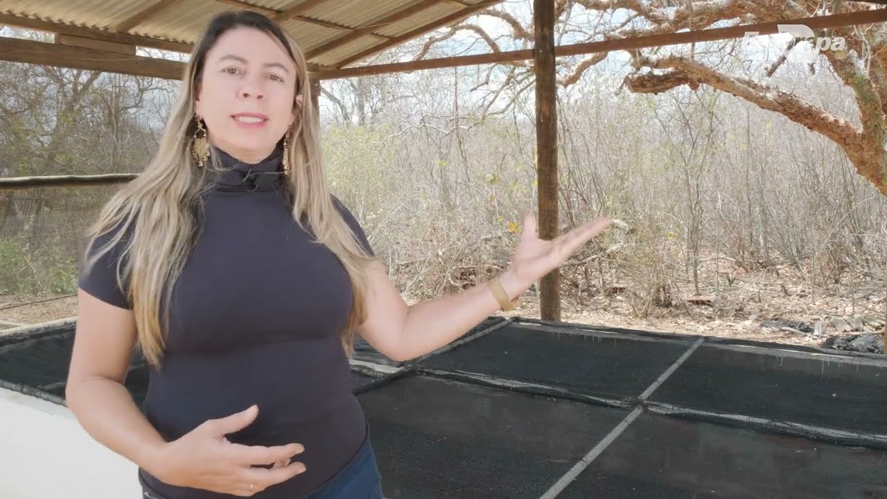 reuso de aguas cinza composicao do bioagua familiar