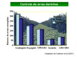 revitalizacao de citrus com adubacao verde