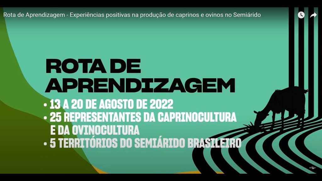 rota de aprendizagem experiencias positivas na producao de caprinos e ovinos no semiarido