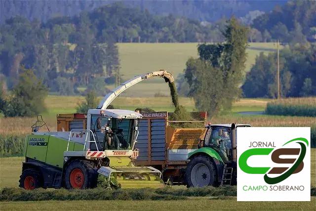 Rotação e Divisão de Pastagens: Maximizando a Utilização e Rendimento Rotação e Divisão de Pastagens: Maximizando a Utilização e Rendimento