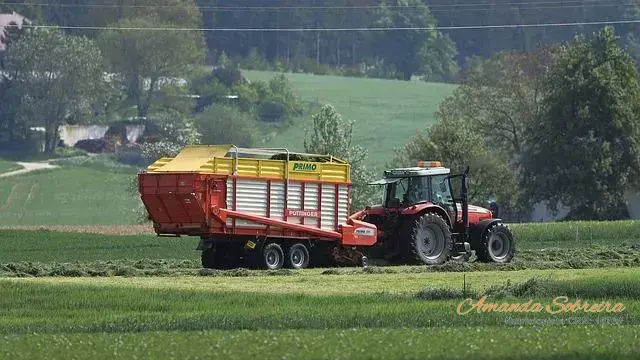 Saco para silagem de aveia: 6 benefícios para o seu animal 6 Silagem