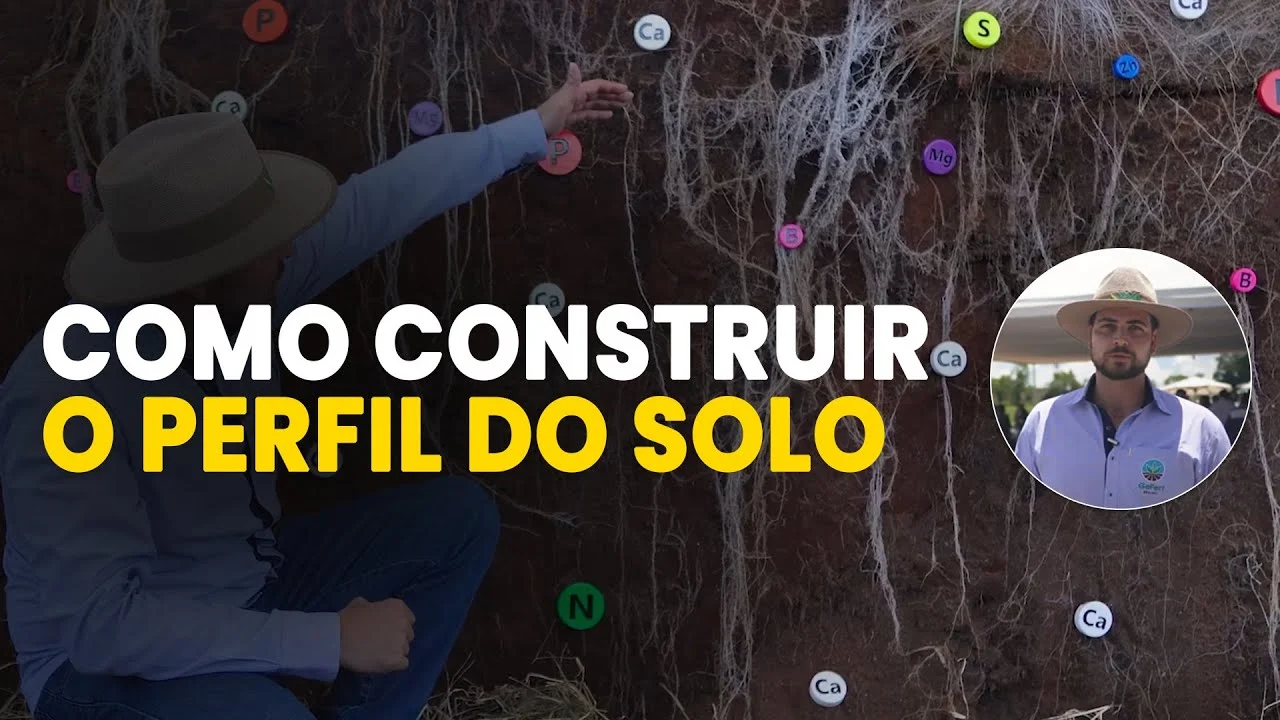 Segredos do Solo: Construção do Perfil 2 segredos do solo construcao do perfil
