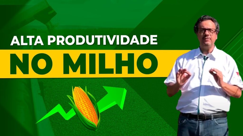 segredos para alta produtividade em milho prof joao carlos galvao