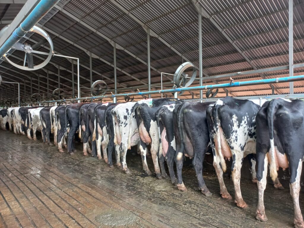 Segredos para Técnica Eficiente 20 como ter eficiência nessa técnica