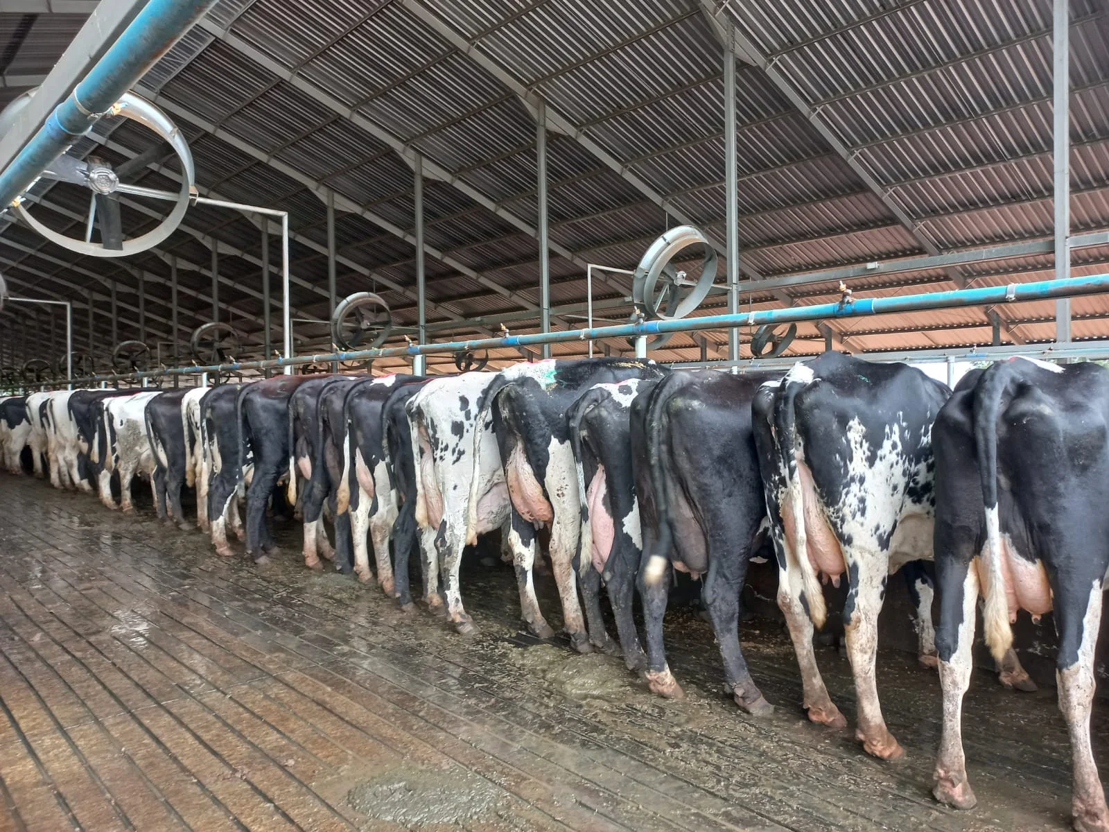 Segredos para Técnica Eficiente