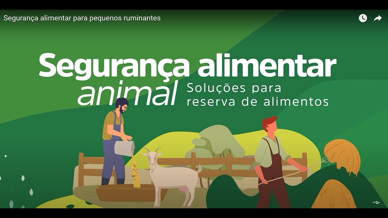 seguranca alimentar para pequenos ruminantes