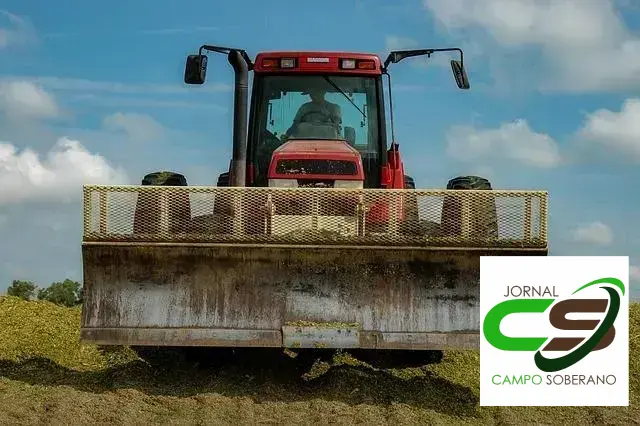 Sementes de sorgo forrageiro: a melhor opção para pastagens de baixa altitude