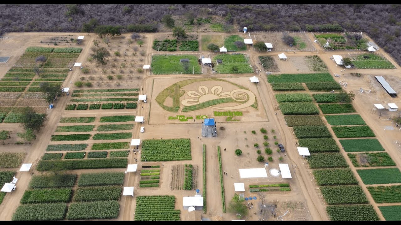 semiarido show 2023 retrospectiva