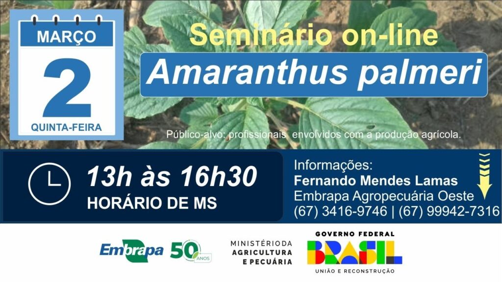 seminario on line estado da arte amaranthus palmeri caruru detectada em mato grosso do sul