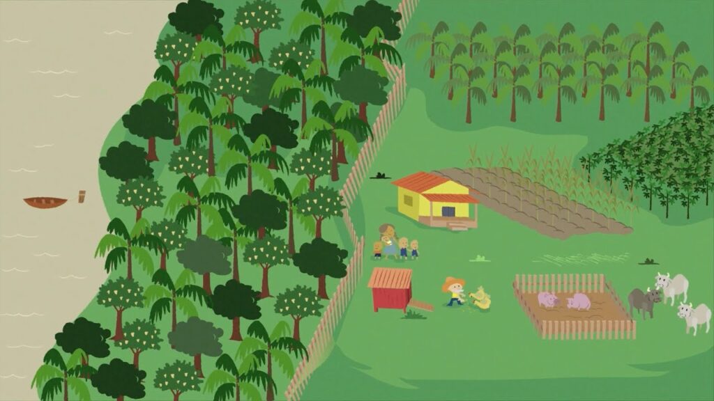 seu joao e a restauracao florestal