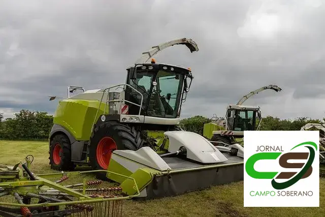 Silagem de capim para a nutrição do gado