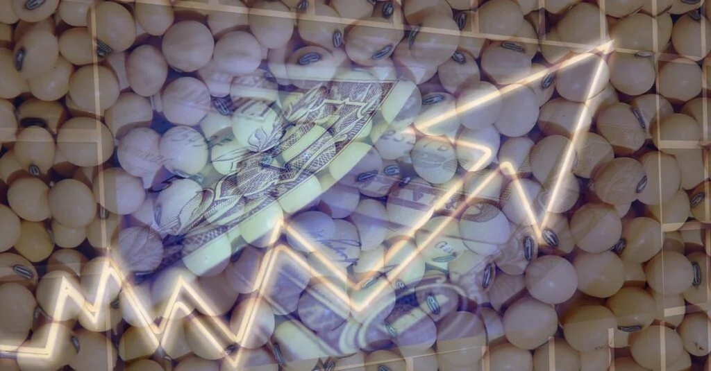 Soja tem alta em contratos para março! 18 veja a influência do dólar e de Chicago hoje