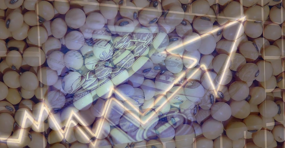 Dólar e Chicago: Impacto Atual 29 veja a influência do dólar e de Chicago hoje