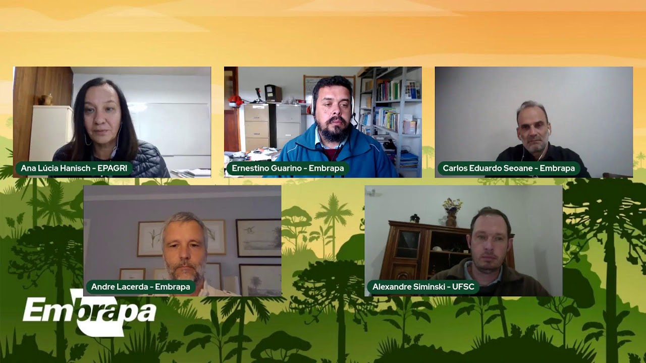 solucoes baseadas na natureza processos ecologicos e agroflorestas