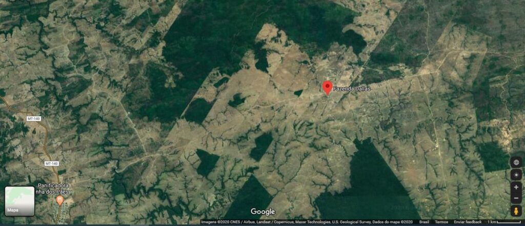 Projeto pecuário em fazenda de gado de corte: como realizar?