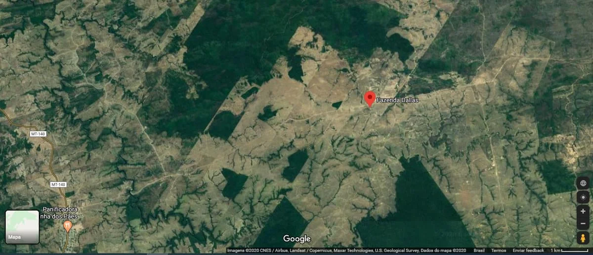 Projeto pecuário em fazenda de gado de corte: como realizar?