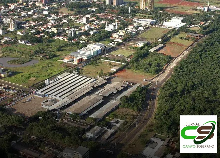 Sustentabilidade e Comércio Local: A Importância da Feira do CEASA