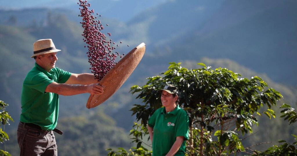 tecnica de recuperacao de areas atrai produtores 1