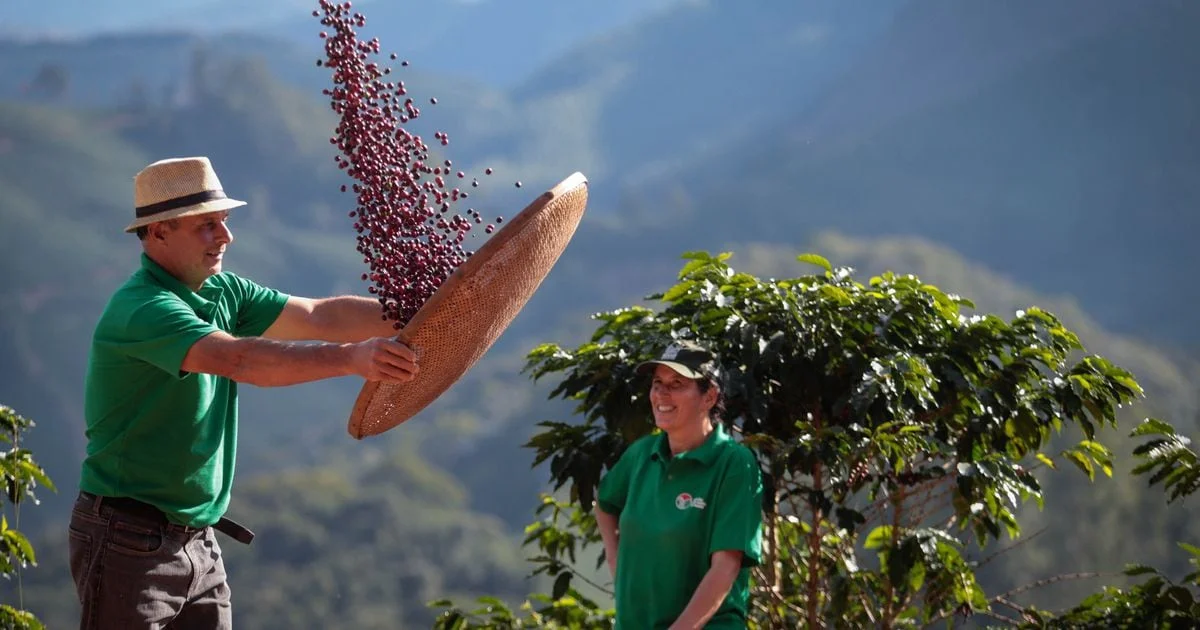 Técnica de recuperação de áreas atrai produtores 26 tecnica de recuperacao de areas atrai produtores 1