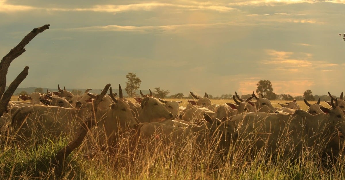 Técnicas avançadas captam água no Nordeste