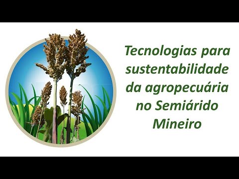 tecnologias para sustentabilidade da agropecuaria no semiarido mineiro
