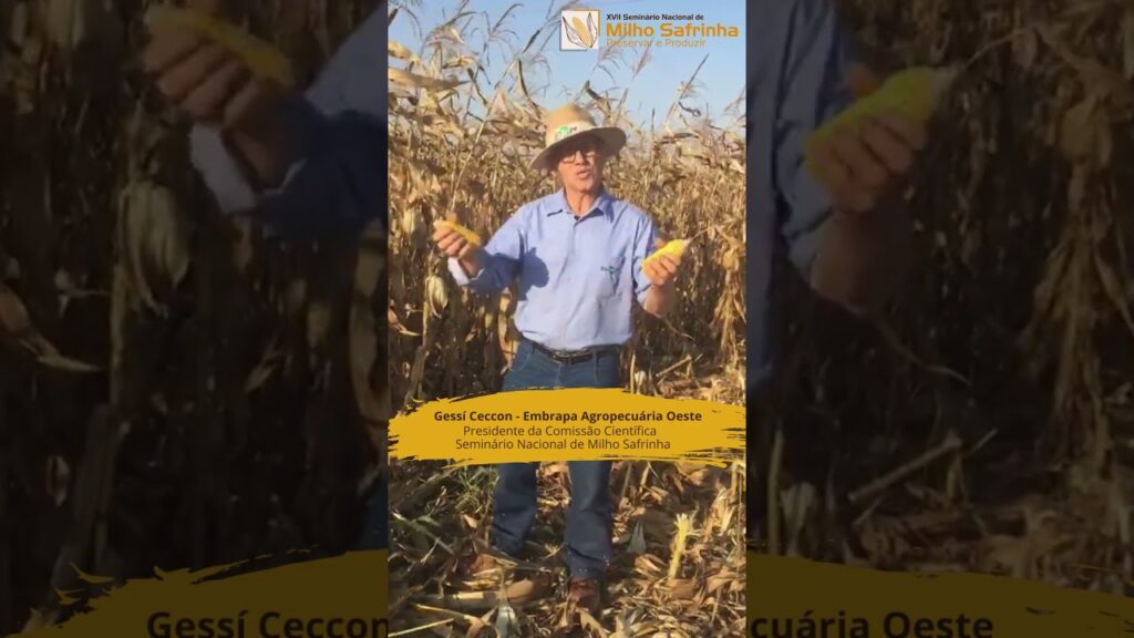 Tem resultado positivo sobre Milho Safrinha? Venha apresentar no XVII SNM | #shorts 1 tem resultado positivo sobre milho safrinha venha apresentar no xvii snm shorts